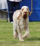Filename=Aurelia-TheExplorer-5.jpg
Filesize=297KiB
Dimensions=800x906
Date added=Mar 23, 2021 Aurelia-TheExplorer-5.jpg