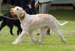 Filename=Aurelia-TheExplorer.jpg
Filesize=199KiB
Dimensions=800x553
Date added=Mar 23, 2021 Aurelia-TheExplorer.jpg