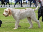 Filename=B-ItsATenFromLen-1.jpg
Filesize=228KiB
Dimensions=800x590
Date added=Mar 23, 2021 B-ItsATenFromLen-1.jpg