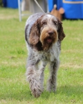 Filename=Harrys-BigSis-2.jpg
Filesize=336KiB
Dimensions=800x992
Date added=Mar 23, 2021 Harrys-BigSis-2.jpg