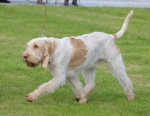 Filename=M-HarrysRock-1.jpg
Filesize=219KiB
Dimensions=800x623
Date added=Mar 23, 2021 M-HarrysRock-1.jpg