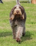 Filename=M-Hugo.jpg
Filesize=362KiB
Dimensions=800x1005
Date added=Mar 23, 2021 M-Hugo.jpg