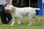 Filename=M-WhiteBryony-2.jpg
Filesize=183KiB
Dimensions=800x540
Date added=Mar 23, 2021 M-WhiteBryony-2.jpg