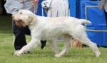 Filename=M-WhiteBryony-3.jpg
Filesize=183KiB
Dimensions=800x479
Date added=Mar 23, 2021 M-WhiteBryony-3.jpg