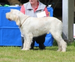 Filename=M-WhiteBryony-4.jpg
Filesize=243KiB
Dimensions=800x667
Date added=Mar 23, 2021 M-WhiteBryony-4.jpg