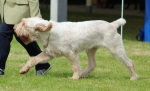 Filename=S-Portia-1.jpg
Filesize=163KiB
Dimensions=800x487
Date added=Mar 23, 2021 S-Portia-1.jpg