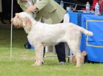 Filename=S-Portia.jpg
Filesize=236KiB
Dimensions=800x599
Date added=Mar 23, 2021 S-Portia.jpg