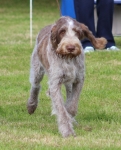 Filename=S-Valentino.jpg
Filesize=355KiB
Dimensions=800x987
Date added=Mar 23, 2021 S-Valentino.jpg