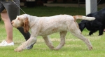 Filename=T-TwistOfGold.jpg
Filesize=172KiB
Dimensions=800x437
Date added=Mar 23, 2021 T-TwistOfGold.jpg