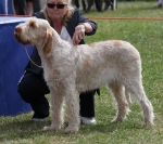 Filename=Aurelia-TheExplorer.jpg
Filesize=277KiB
Dimensions=800x711
Date added=Mar 23, 2021 Aurelia-TheExplorer.jpg