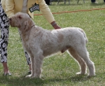 Filename=C-Zelbio.jpg
Filesize=288KiB
Dimensions=800x656
Date added=Mar 23, 2021 C-Zelbio.jpg