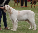 Filename=G-Roccamonfina.jpg
Filesize=253KiB
Dimensions=800x688
Date added=Mar 23, 2021 G-Roccamonfina.jpg