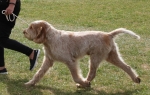 Filename=H-LetsGoCrazy-1.jpg
Filesize=256KiB
Dimensions=800x510
Date added=Mar 23, 2021 H-LetsGoCrazy-1.jpg