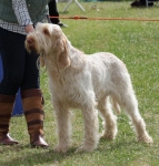 Filename=L-LaCassa.jpg
Filesize=325KiB
Dimensions=800x837
Date added=Mar 23, 2021 L-LaCassa.jpg