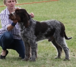 Filename=T-Ettore.jpg
Filesize=290KiB
Dimensions=800x717
Date added=Mar 23, 2021 T-Ettore.jpg