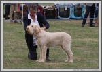 Filename=A_Adrianna.jpg
Filesize=331KiB
Dimensions=1419x1000
Date added=Mar 23, 2021 A_Adrianna.jpg