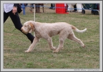 Filename=A_Adrianna_2.jpg
Filesize=348KiB
Dimensions=1419x1000
Date added=Mar 23, 2021 A_Adrianna_2.jpg