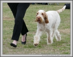 Filename=I_Fiorella_1.jpg
Filesize=288KiB
Dimensions=1279x1000
Date added=Mar 23, 2021 I_Fiorella_1.jpg