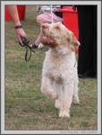 Filename=M_HarrysRock.jpg
Filesize=275KiB
Dimensions=1000x1310
Date added=Mar 23, 2021 M_HarrysRock.jpg