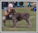 Filename=M_Hugo.jpg
Filesize=282KiB
Dimensions=1162x1000
Date added=Mar 23, 2021 M_Hugo.jpg