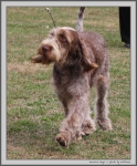 Filename=M_Hugo_1.jpg
Filesize=316KiB
Dimensions=1000x1203
Date added=Mar 23, 2021 M_Hugo_1.jpg
