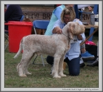 Filename=T_MuckNMagic.jpg
Filesize=243KiB
Dimensions=1114x1000
Date added=Mar 23, 2021 T_MuckNMagic.jpg