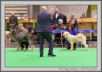 Filename=BP_Challenge_1.jpg
Filesize=142KiB
Dimensions=1000x703
Date added=Mar 23, 2021 BP_Challenge_1.jpg