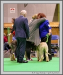 Filename=BP_Challenge_2.jpg
Filesize=157KiB
Dimensions=847x1000
Date added=Mar 23, 2021 BP_Challenge_2.jpg
