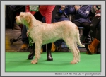 Filename=B_ItsATenFromLen.jpg
Filesize=138KiB
Dimensions=1000x731
Date added=Mar 23, 2021 B_ItsATenFromLen.jpg