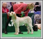 Filename=B_ItsATenFromLen_1.jpg
Filesize=178KiB
Dimensions=1000x909
Date added=Mar 23, 2021 B_ItsATenFromLen_1.jpg