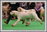Filename=D_AmazingGrace_3.jpg
Filesize=108KiB
Dimensions=1000x691
Date added=Mar 23, 2021 D_AmazingGrace_3.jpg