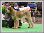 Filename=D_BelleAgathe.jpg
Filesize=155KiB
Dimensions=1000x759
Date added=Mar 23, 2021 D_BelleAgathe.jpg
