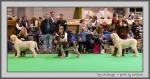 Filename=DogChallenge.jpg
Filesize=130KiB
Dimensions=1000x531
Date added=Mar 23, 2021 DogChallenge.jpg