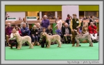 Filename=DogChallenge_1.jpg
Filesize=139KiB
Dimensions=1000x629
Date added=Mar 23, 2021 DogChallenge_1.jpg
