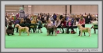 Filename=DogChallenge_2.jpg
Filesize=123KiB
Dimensions=1000x518
Date added=Mar 23, 2021 DogChallenge_2.jpg