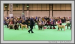 Filename=DogChallenge_3.jpg
Filesize=133KiB
Dimensions=1000x587
Date added=Mar 23, 2021 DogChallenge_3.jpg