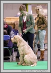 Filename=E_MrSandman.jpg
Filesize=137KiB
Dimensions=701x1000
Date added=Mar 23, 2021 E_MrSandman.jpg