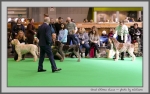 Filename=GC.jpg
Filesize=139KiB
Dimensions=1000x628
Date added=Mar 23, 2021 GC.jpg