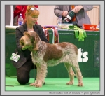 Filename=G_CracklinRosie.jpg
Filesize=172KiB
Dimensions=1000x918
Date added=Mar 23, 2021 G_CracklinRosie.jpg