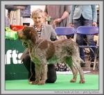 Filename=I_Amadeo_3.jpg
Filesize=195KiB
Dimensions=1000x919
Date added=Mar 23, 2021 I_Amadeo_3.jpg