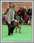 Filename=I_Amadeo_4.jpg
Filesize=138KiB
Dimensions=803x1000
Date added=Mar 23, 2021 I_Amadeo_4.jpg