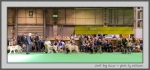 Filename=LD.jpg
Filesize=113KiB
Dimensions=1000x471
Date added=Mar 23, 2021 LD.jpg