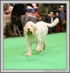 Filename=N_Bewitched_2.jpg
Filesize=109KiB
Dimensions=972x1000
Date added=Mar 23, 2021 N_Bewitched_2.jpg