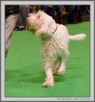 Filename=N_Bewitched_6.jpg
Filesize=106KiB
Dimensions=930x1000
Date added=Mar 23, 2021 N_Bewitched_6.jpg