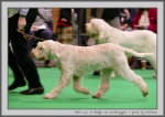 Filename=N_LuvToBoogie_1.jpg
Filesize=106KiB
Dimensions=1000x707
Date added=Mar 23, 2021 N_LuvToBoogie_1.jpg