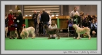 Filename=OB.jpg
Filesize=104KiB
Dimensions=1000x540
Date added=Mar 23, 2021 OB.jpg