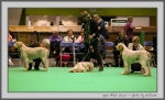 Filename=OB_3.jpg
Filesize=118KiB
Dimensions=1000x608
Date added=Mar 23, 2021 OB_3.jpg
