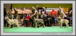 Filename=PGD_7.jpg
Filesize=108KiB
Dimensions=1000x475
Date added=Mar 23, 2021 PGD_7.jpg