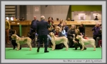 Filename=RBCC.jpg
Filesize=122KiB
Dimensions=1000x609
Date added=Mar 23, 2021 RBCC.jpg