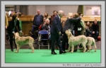 Filename=RBCC_1.jpg
Filesize=124KiB
Dimensions=1000x643
Date added=Mar 23, 2021 RBCC_1.jpg